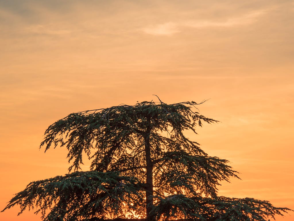 Before expert gutters and roofing installation